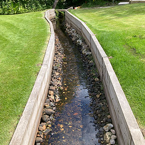 Garden in Giffnock